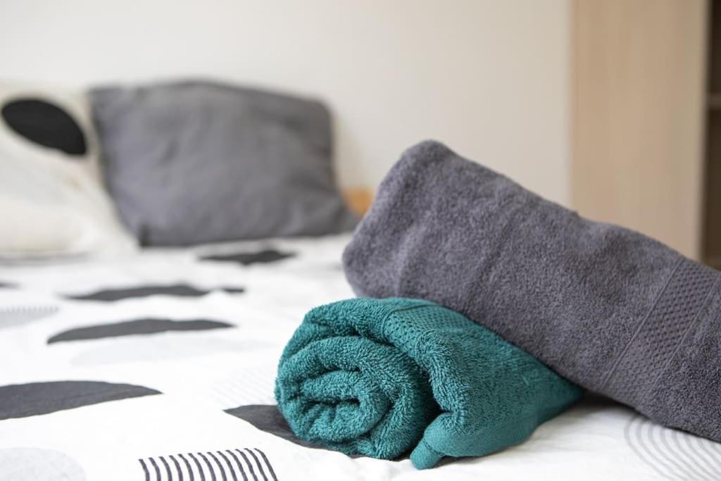 Suite Lumineux Et Moderne, Parking Gratuit, Mulhouse Centre Luaran gambar